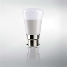 LED PAP BULB (B22 Base) 10 WATT